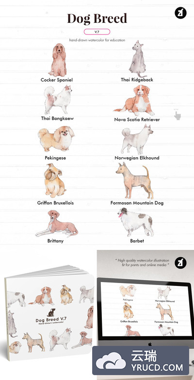多种狗品种手绘插矢量图下载（Ai,PSD）