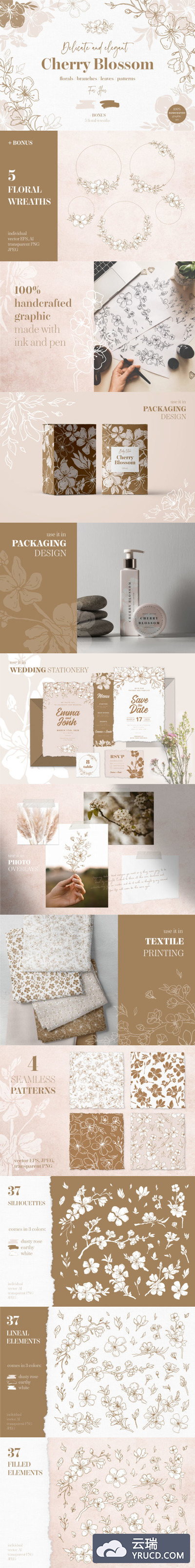 墨水和钢笔手绘的樱花元素插画图形集