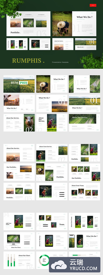 简约时尚优雅健康绿色生态农业展示powerpoint幻灯片演示模板（pptx）