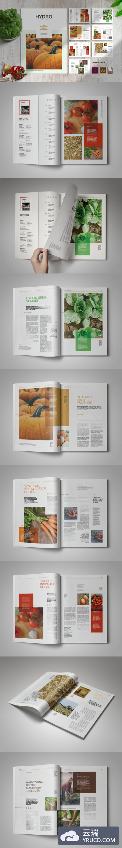 时尚高端绿色健康食品画册宣传册杂志房地产楼书设计模板-INDD，AI，EPS，PDF