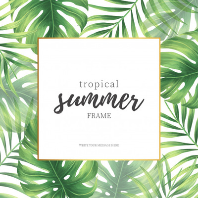 优雅的热带夏季框架插画