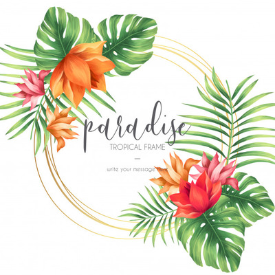 异国情调风格的热带植物框架插画