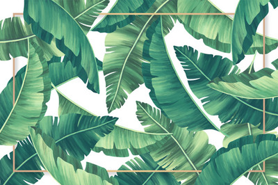 金色框架热带植物装饰背景