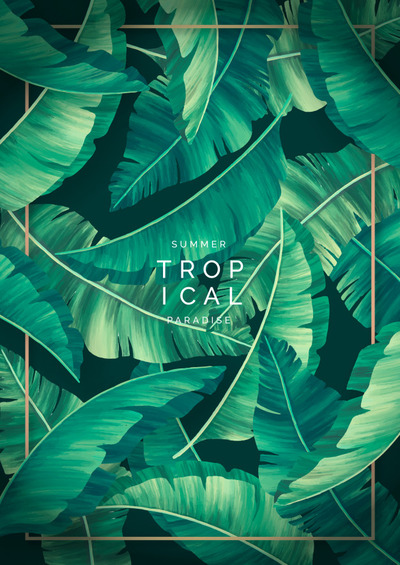 现代热带树叶金色的框架背景