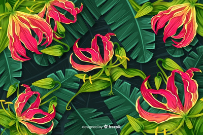 热带花卉植物大自然背景