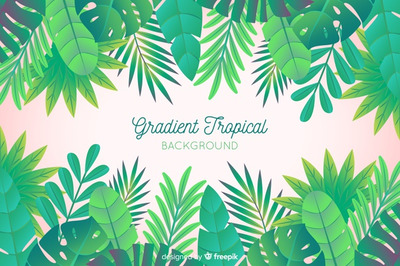 手绘热带树叶植物插画背景