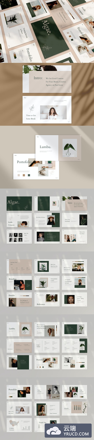 时尚高端专业优雅的powerpoint幻灯片演示模板（pptx）