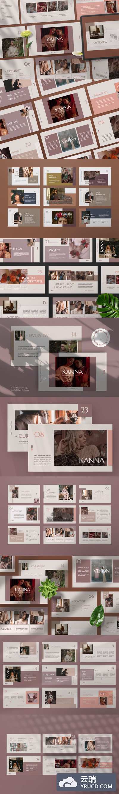 专业独特设计的优雅风格PPT模板下载（PPTX）