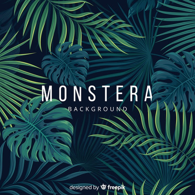 逼真的夏季热带树叶插画背景