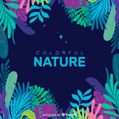 五彩缤纷的热带树叶背景