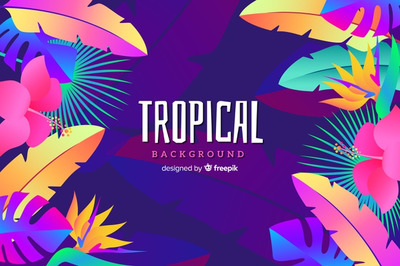 渐变彩色热带植物插画背景