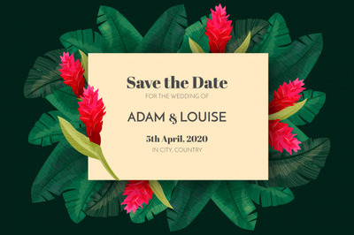 热带花卉植物装饰卡片插画