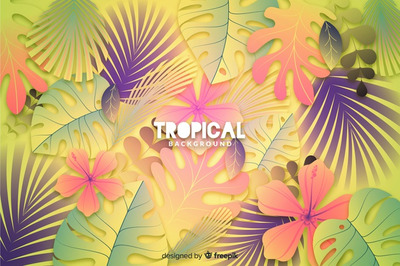 夏季彩色渐变热带树叶背景