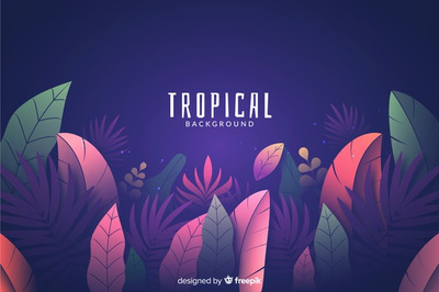 彩色渐变热带树叶插画背景