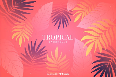 色彩鲜艳的热带树叶插画背景