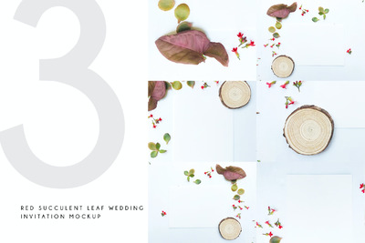 红色多汁叶子婚礼请柬模型（PSD）