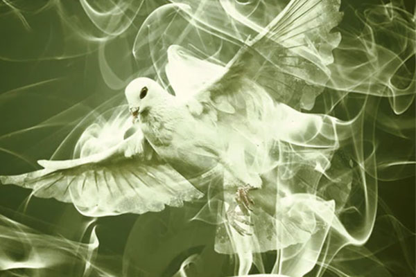 现代艺术白色烟雾照片特效psd动作下载