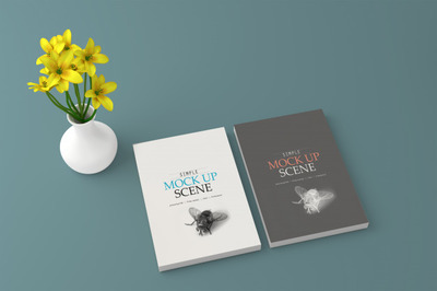 黑白书籍封面设计效果图样机[PSD]