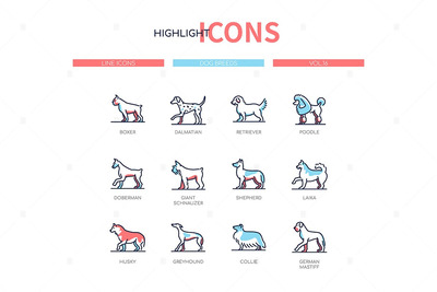 ICONS | 矢量现代线条设计风格宠物狗类雪纳瑞贵宾犬猎犬牧羊犬莱卡图标