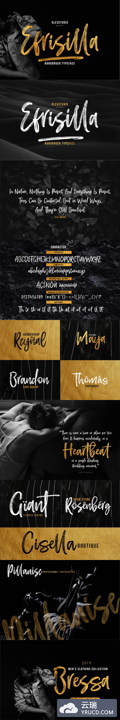 精美的手绘笔刷效果英文脚本字体