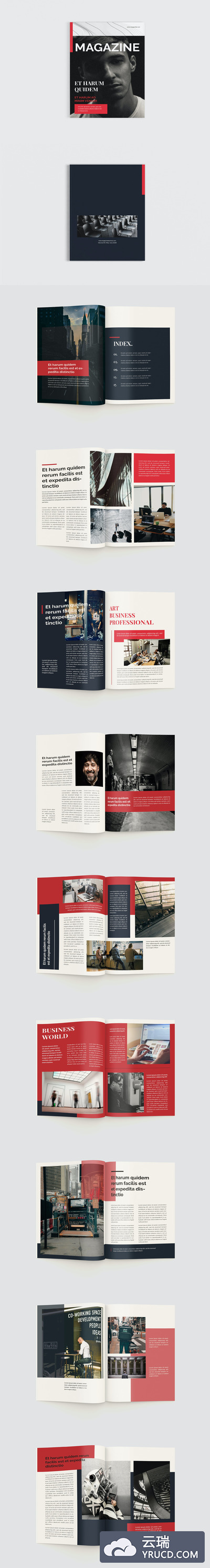企业风云企业文化宣传杂志画册模板下载（INDD）