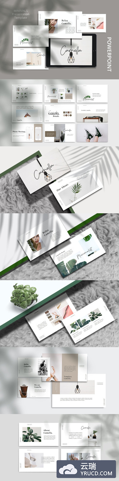 极简风格的优雅powerpoint幻灯片演示模板（pptx）