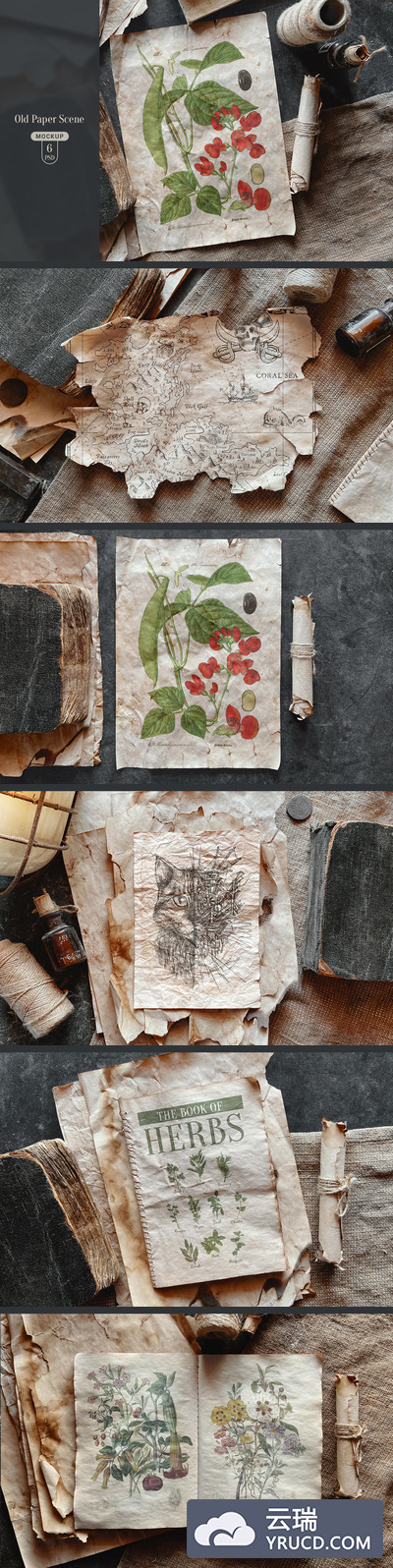 适用于水彩或国画的高品质做旧效果纸张样机素材下载[PSD]