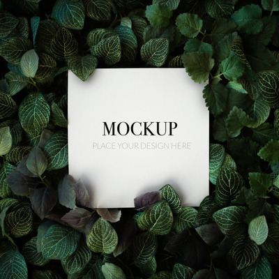 热带植物海报背景[PSD]