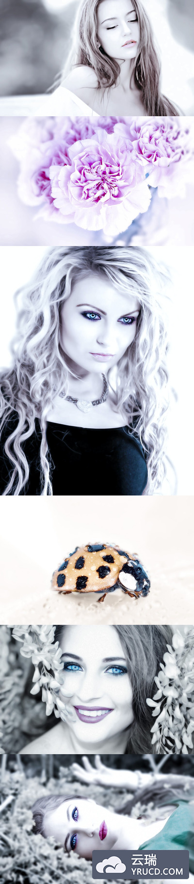 纯粹效果的PS动作下载（atn）