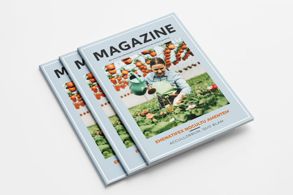 蓝色配色方案园艺杂志图册设计模板