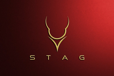 奢华金色logo图形样机[PSD]