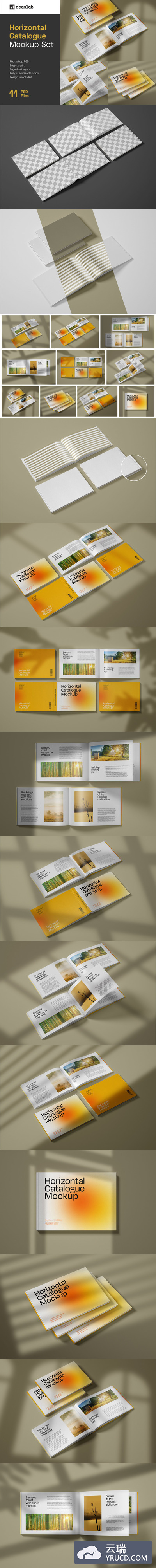 横向尺寸产品目录手册设计样机集