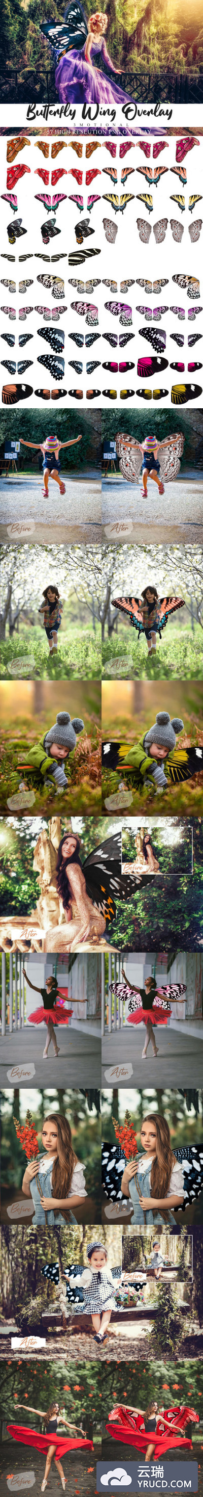 57个七彩蝴蝶翅膀叠层背景素材