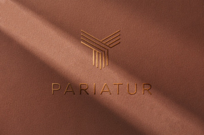 光照下的logo展示样机[PSD]