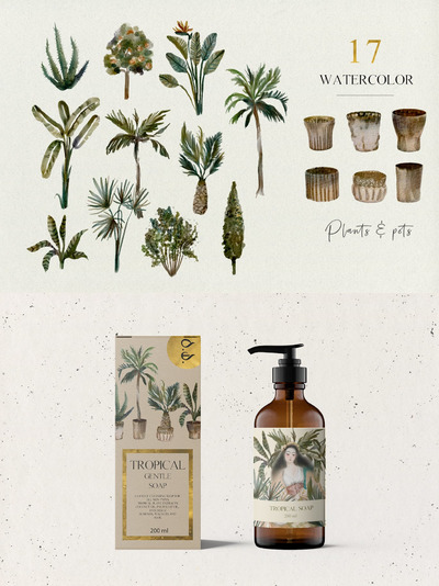 17种手绘水彩水墨热带植物和花盆插画集合