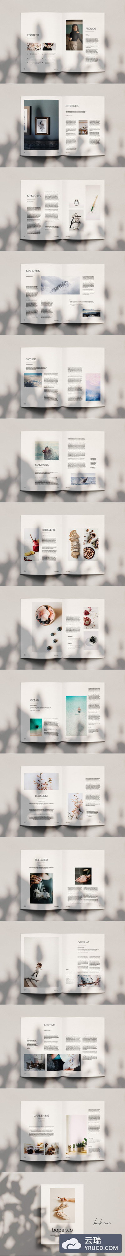 现代风格的杂志设计模板（indd）