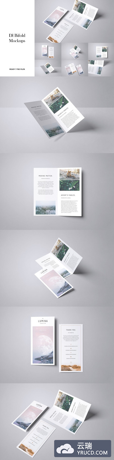 时尚高端专业的高品质DL房地产双折页海报设计VI样机展示模型mockups