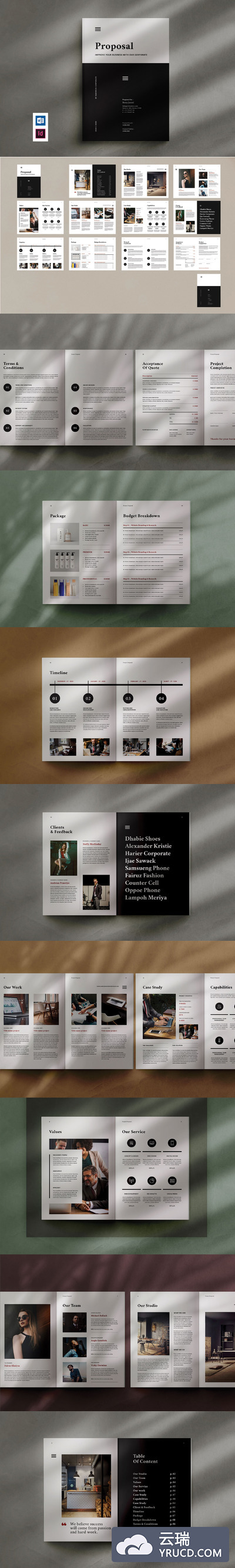 商业计划书/企业项目提案手册设计