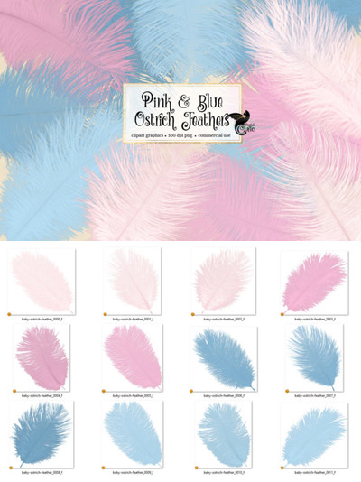 粉色和蓝色鸵鸟羽毛剪贴画素材