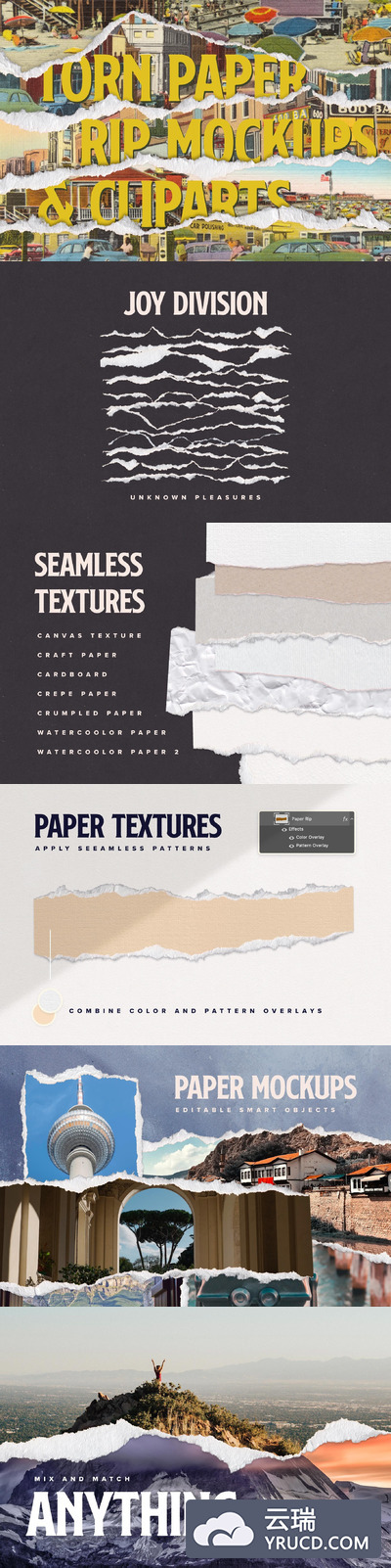 撕碎的纸张剪贴画和样机模板