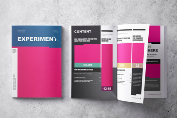 新闻期刊/实验杂志版式设计模板