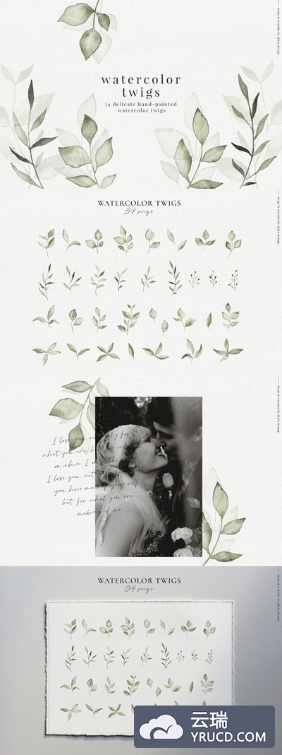 时尚高端简约清新优雅的手绘水彩树枝树叶背景底纹纹理集合