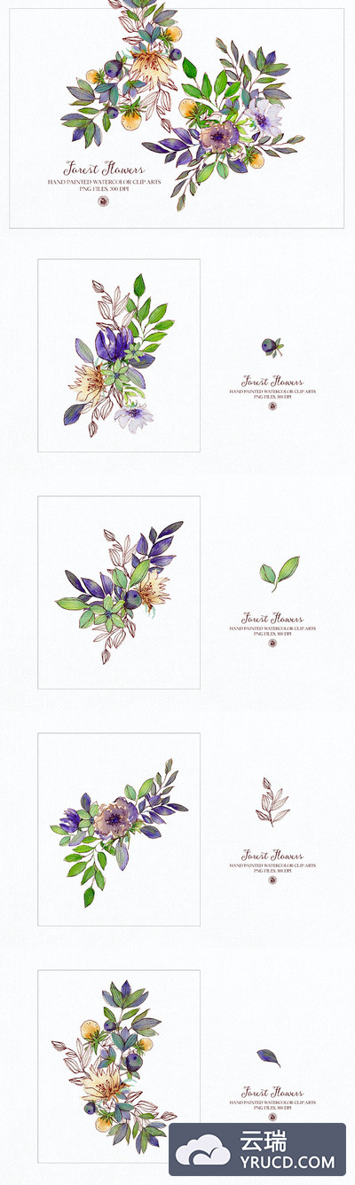 高品质的手绘水墨水彩水粉植物插画背景底纹纹理集合