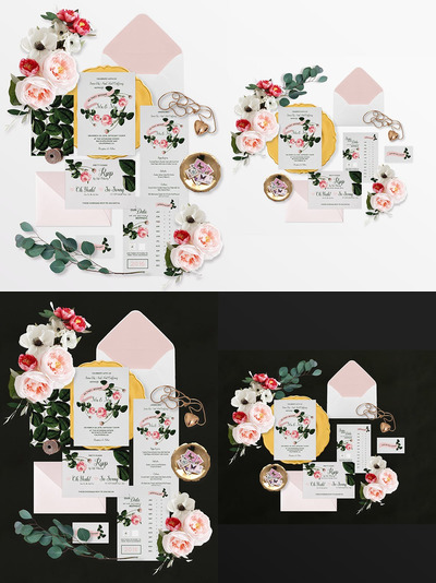 植物模型场景生成器样机（PSD）