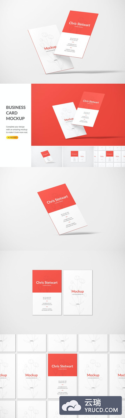 纵向规格企业/个人名片设计效果图样机