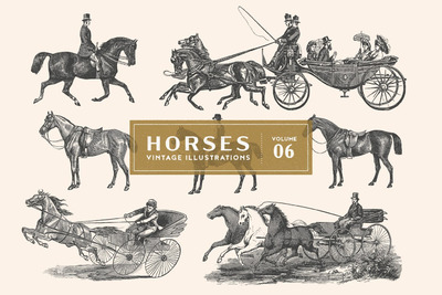 高端时尚复古欧式房地产马车马术矢量插画插图大集合-AI，PNG，SVG