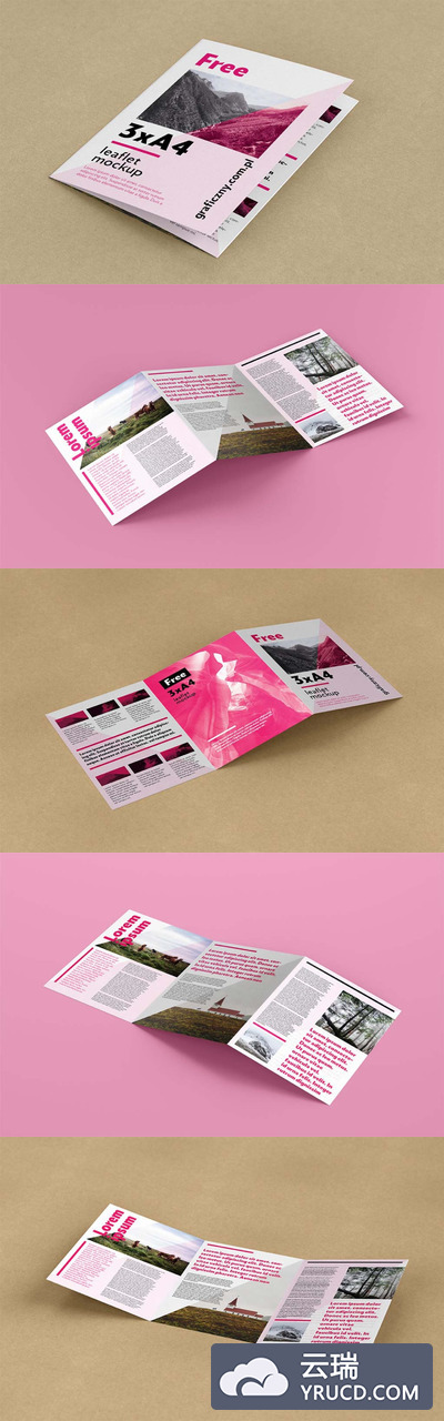 三折页传单展示样机