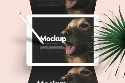 iPad Pro广告展示样机