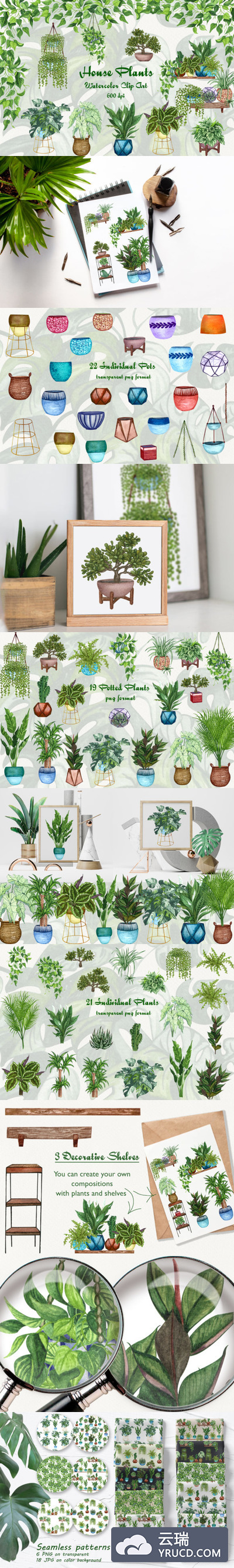 室内盆栽植物水彩剪贴画素材