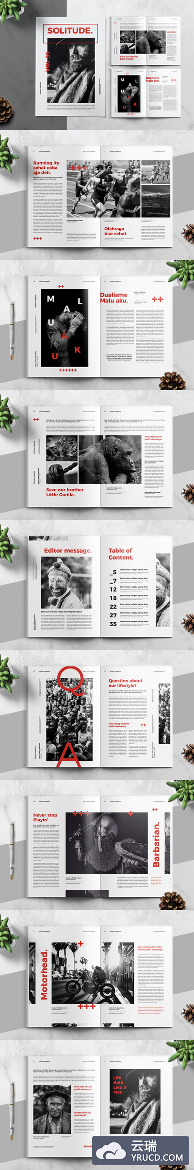 时尚高端简约瑞士风格杂志宣传册画册品牌手册房地产楼书设计模板